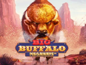 game logo by Skywind Group on donbets.eu