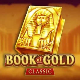 game logo by Playson on donbets.eu