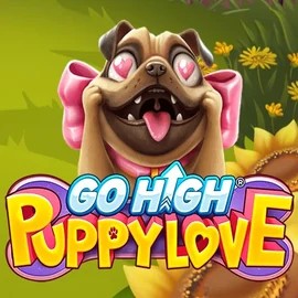game logo by RubyPlay on donbets.eu